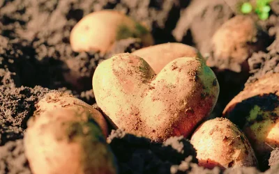 Versuchsstation eröffnet am 6. Mai 2025