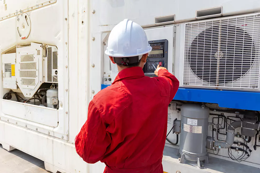 Reefer Mann Reefer Mann