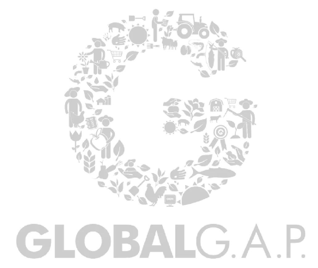 Zertifikat Global G A P